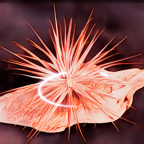 Item #8607677958191038044004830040679912821884152676576415147527512966191669837825 Media