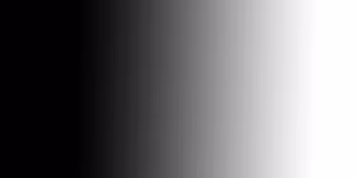 Untitled Collection #259357351