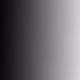 Untitled Collection #259357351