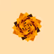 60072005327855206554700493369694036284314585999240924537043000757969529864193