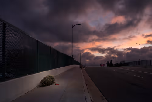 Item #97596376492587480991564299989885194485729582935183473269224319457530887536641 Media