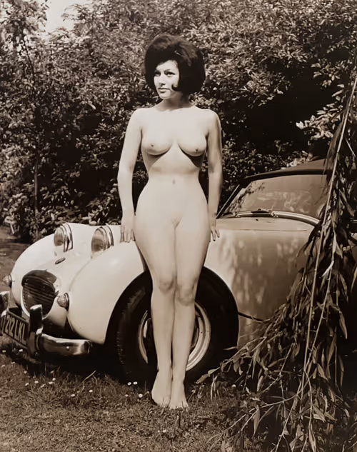 Item #61506933017025077700530557016983025704437525597845185547692606865240068456449 Media