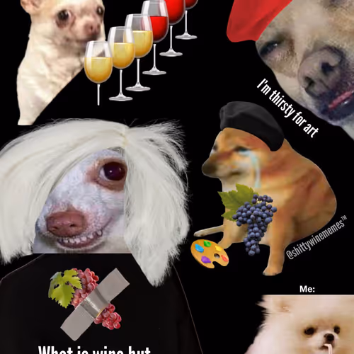 Late Night Shitty Wine Collage