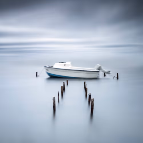 Item #53325246992838792859275335759448641474179368626914689986754702999552939524097 Media