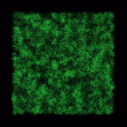 12032733712256437664215437925069129638151898554142308319368359002701542981633