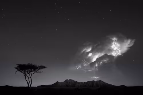 Item #108814857691029429230781820568210235490063919231059486623727012668469856436225 Media