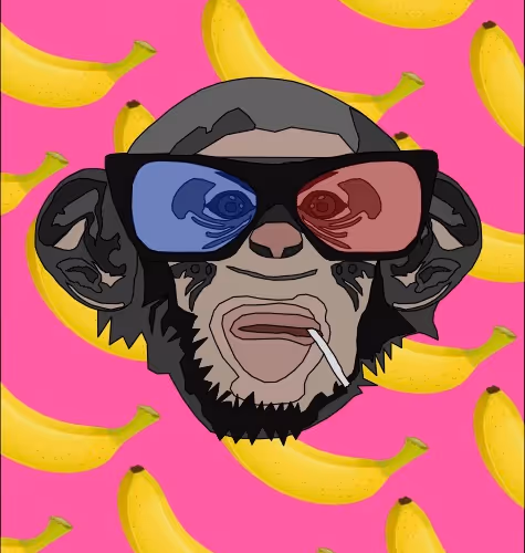 Untitled Collection #1354188