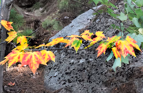 Item #78614967916850878758896281278088562819031429561597845143063368097065735290881 Media