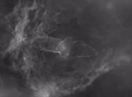 Item #11270250201910120252655234584025497213654705674784267764567782421888642318337 Media