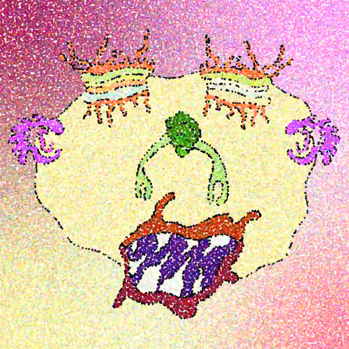 80734253681389491132073353567921266061124823809555511879041123933416773910529