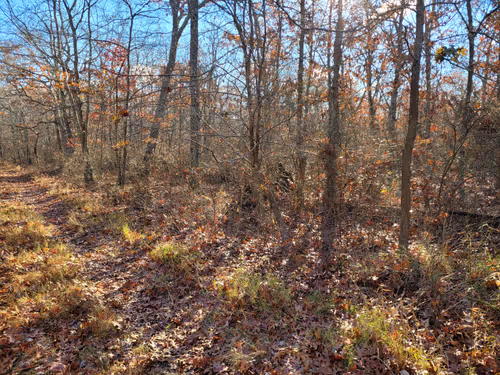 Item #34085441569699423005310991372941828806155687762378495952169943201074359828481 Media