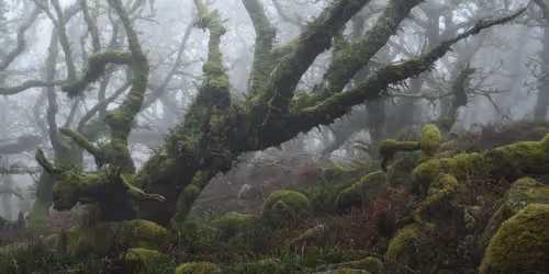 Item #72639390708267126639436568569652760193401123475841185469851730207075748282369 Media