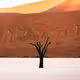 Solitude