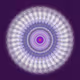 13031855540730217161769985185229168666635186493118927510341088999841304936449