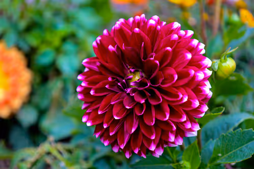 Item #19684374529110288056520570276703370007863893692966726326193838070114906275841 Media