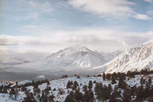 Item #31808388363413950485853344810584648245569292954674958749776460885013915762689 Media