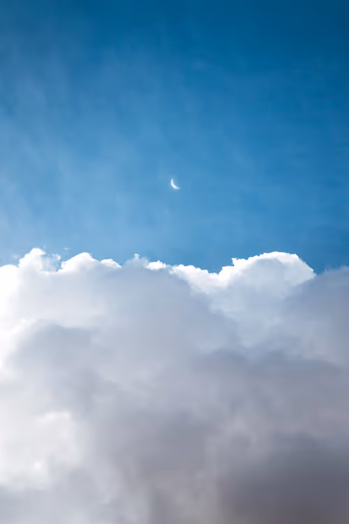 Item #9516099056367242152996622501750151802451978225621664057436231514928074194945 Media