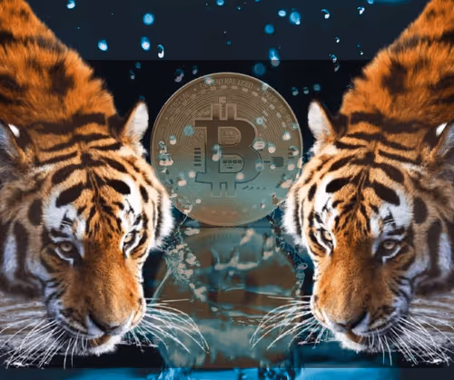 Untitled Collection #16442496