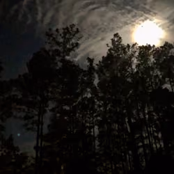 moonlight serenade