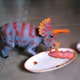 Triceratops Stas eats