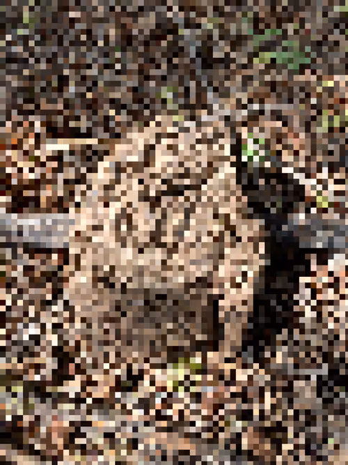 Item #2850415134272365380187775685678842410458265265709128331682257510673816748033 Media