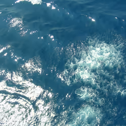 Cheer of the Indian Ocean