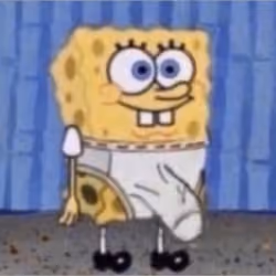 spongerobert