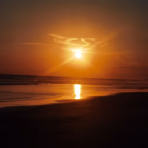 CryptoMic Collection - old