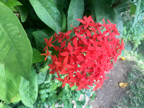 Item #68930698527264809190468656590261820993623292496804910864436067686522600554497 Media