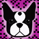 80658368129337691042389905778856592011954451497496062341822314077146744619009