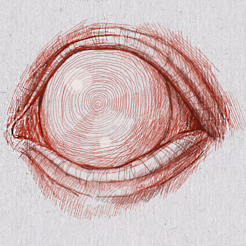 Item #27921743008571817687184646178926159877577224498393299984677392978971669299201 Media