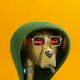 95493211884582002206716336603046780305885947171721280625502166948647220019201