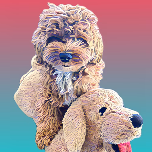 Metaversemaltipoo