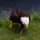 87967792819831618005543499618739469635501432108359947386533119810087946289153