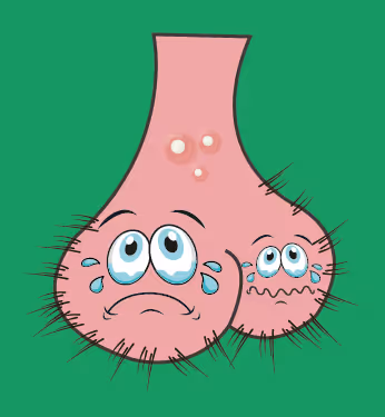 Item #22793047471806318065020766672709763262679883798276267629942525576589038583809 Media