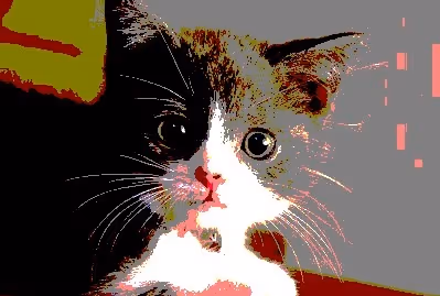 23538819986925566434507765811444276093104658907602947149672917443862998286337