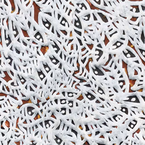 Item #6135615210838207181460231726623395431657623942646172617288677068020520058881 Media