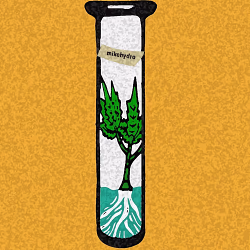 NFTYDRIP Collection