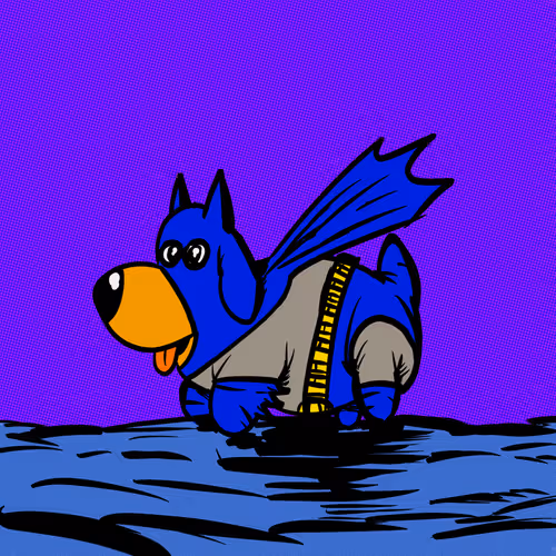 Spacetimedogs