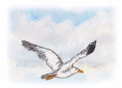 Item #17635803375648012338610213380030160191715370757553255260744606483276531499009 Media