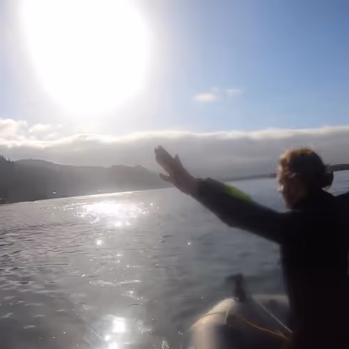 Dillynsoceanadventures