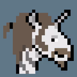 11758942294746868642304838788279447845718661349328411876498910364122484834305