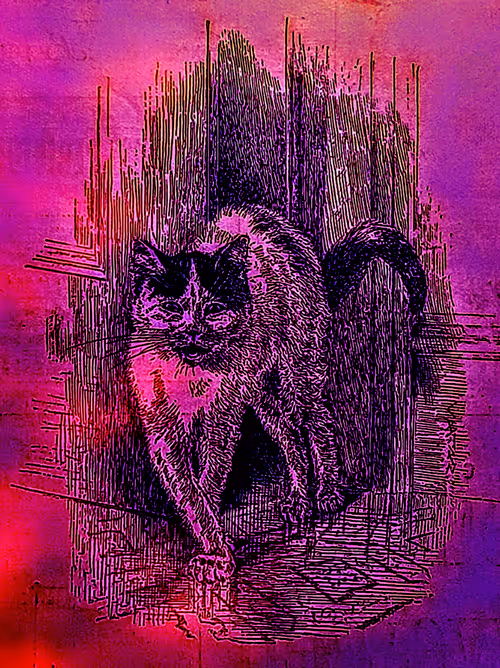 Item #35247308013863639916483757756408588227786114589757564733366544623217422630917 Media