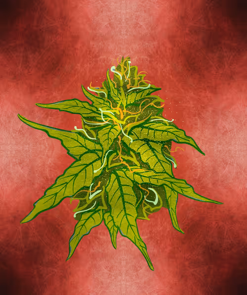 Item #88173920956366532206384104525204378846175092179682069740847406071636260028417 Media