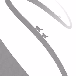 cat walk