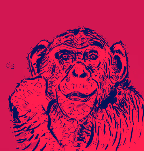 Item #39091703505809475788956350880894769302011138939225893693019847044274581405697 Media