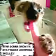 28787390191865345734025923020224566165513020916134715729456541065754032734209