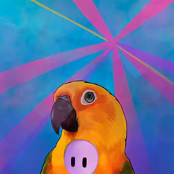 Crypto Conure #016