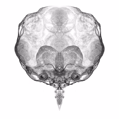 Item #85859191866638808365331437874953228966785819470149775310971061635338668605441 Media