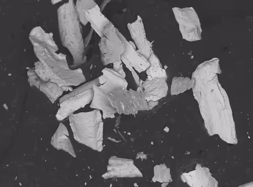 Item #22177301469207423034343584871570086378673375420367340164683847211076988960769 Media